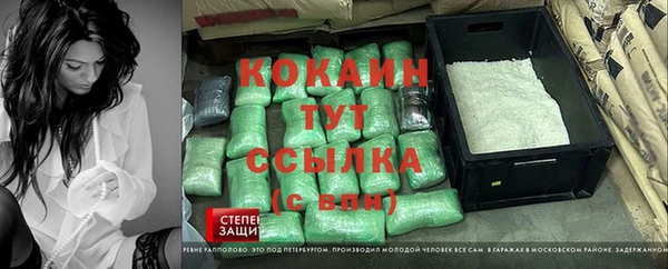 дурь Алзамай