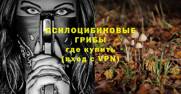дурь Алзамай