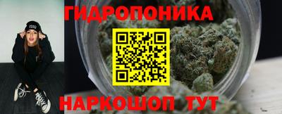 крисы Мариинск