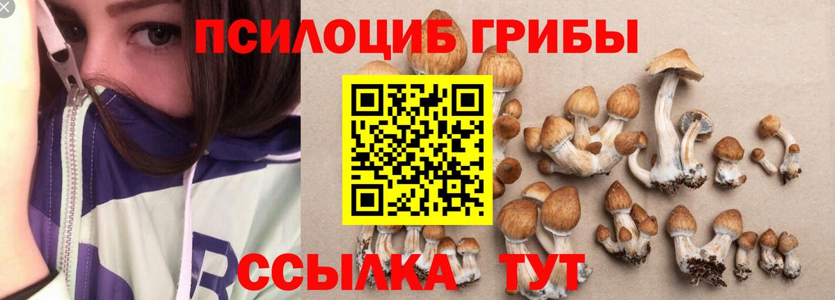 Галлюциногенные грибы MAGIC MUSHROOMS  Вход с VPN  где купить   Евпатория 